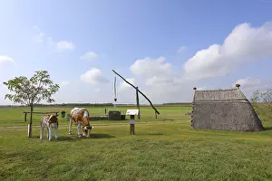 Drawing well and reed hut with cows sculpture