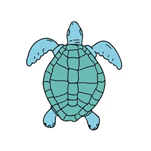 Drawing sketch style illustration of a a sea turtle swimming viewed from top on isolated white background