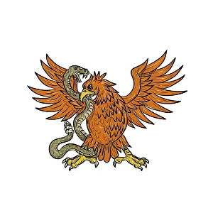Drawing sketch style illustration of an American golden eagle