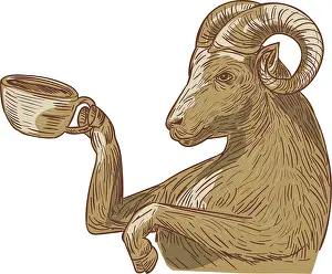 Drawing sketch style illustration of a ram goat drinking coffee viewed from the side set on isolated white background