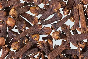 Dried cloves, Germany