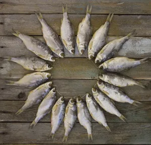 The dried fish on a wooden table