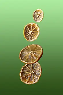 Dried fruit lemons fly on green gradient background