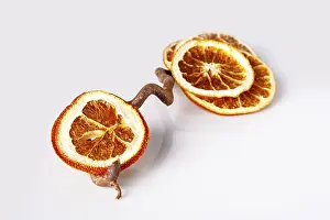 Dried orange slices lie on a snag