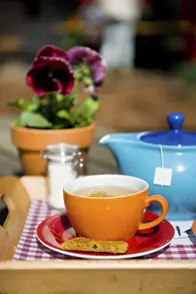 Drinking tea with cookie outdoor on the terrace