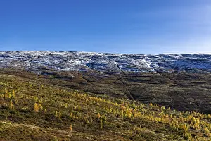 Drive across the autumnal Auerlandsfjell