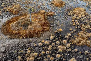 Drone image, aerial view, close-up