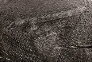 Drone image, agricultural landscape