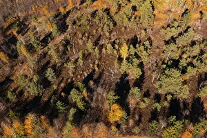 Drone image, Blinklingmoos nature reserve near Strobl am Wolfgangsee