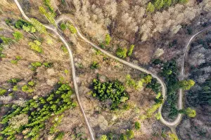Drone image, Swabian Forest, mixed forest
