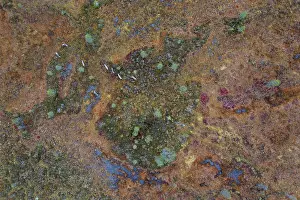 Drone shot, aerial view, wetland