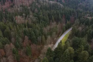 Drone shot, Wangauer Ache with federal road and autumnal mixed forest from above