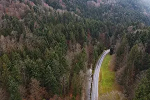 Drone shot, Wangauer Ache with federal road and autumnal mixed forest from above