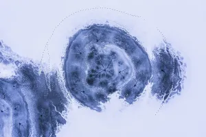 Drone view. Abstract forms created on surface of freezing lake