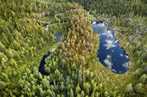 Drone view, aerial photo, clouds reflected in shoe shaped lake in boreal arctic forest with conifers
