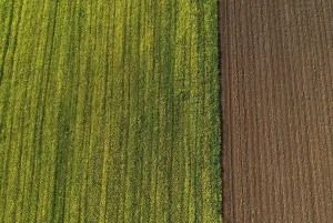 Drone view, green and ploughed fields