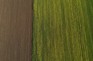 Drone view, green and ploughed fields