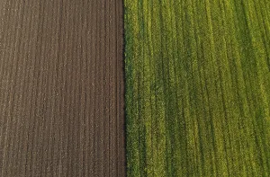 Drone view, green and ploughed fields