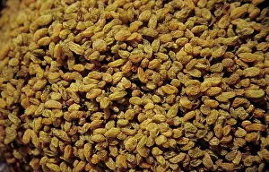 Dryfruits - Raisins