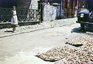 Drying copra outside houses, Soufriere, St Lucia, Windward Islands, West Indies, 1962