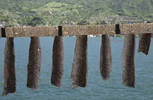 Drying freshwater fish, Monte Isola