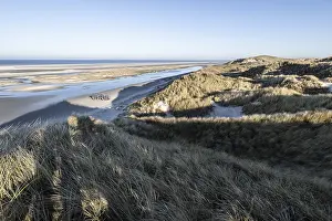 Dune landscape, Amrum, Schleswig-Holstein, Germany