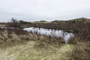 Dune landscape, Amrum, Schleswig-Holstein, Germany