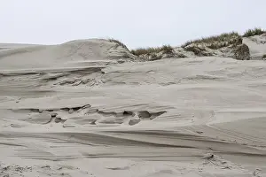 Dune landscape, Amrum, Schleswig-Holstein, Germany