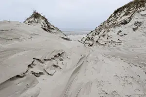 Dune landscape, Amrum, Schleswig-Holstein, Germany