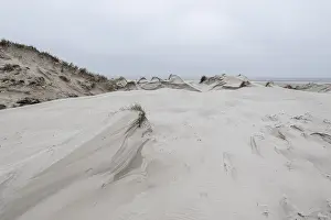 Dune landscape, Amrum, Schleswig-Holstein, Germany