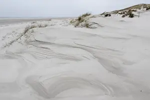 Dune landscape, Amrum, Schleswig-Holstein, Germany
