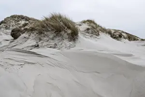 Dune landscape, Amrum, Schleswig-Holstein, Germany