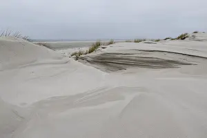 Dune landscape, Amrum, Schleswig-Holstein, Germany