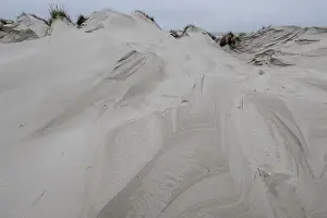 Dune landscape, Amrum, Schleswig-Holstein, Germany