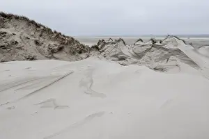 Dune landscape, Amrum, Schleswig-Holstein, Germany
