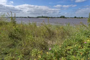 Dune landscape on the beach of the Weser on the island of Harriersand