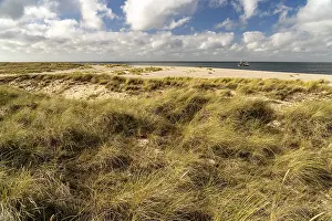 Dune landscape on the coast of Ellenbogen near List