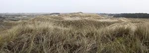 Dune landscape, Panorama, Amrum