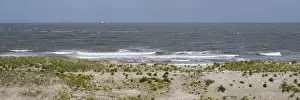Dunes on the North Sea coast, Lower Saxony Wadden Sea National Park