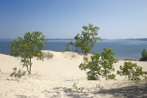 Dunes at Sandbanks Provincial Park