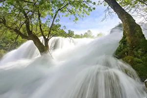 Dynamic water cascading powerfully through a green forest landscape