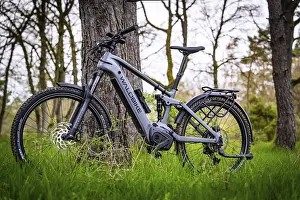 An e-bike leaning against a tree in a spring-like forest