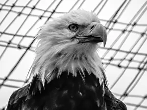 Eagle, Alaska