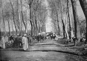 Early autotype of Boufarik, Algeria