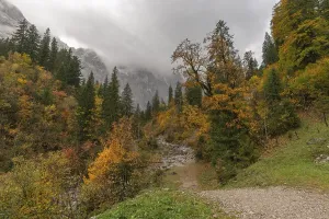 Early morning fog in the Karwendel nature park Park in Engtal