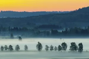 Early morning fog over the moor