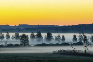 Early morning fog over the moor