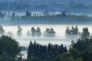 Early morning fog over the moor