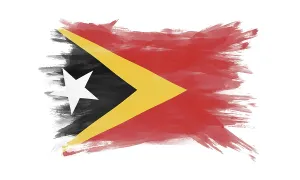 East Timor flag brush stroke, national flag on white background