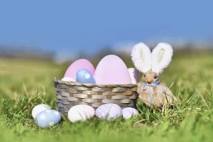 Easter basket with painted eggs and chick with rabbit ears on meadow